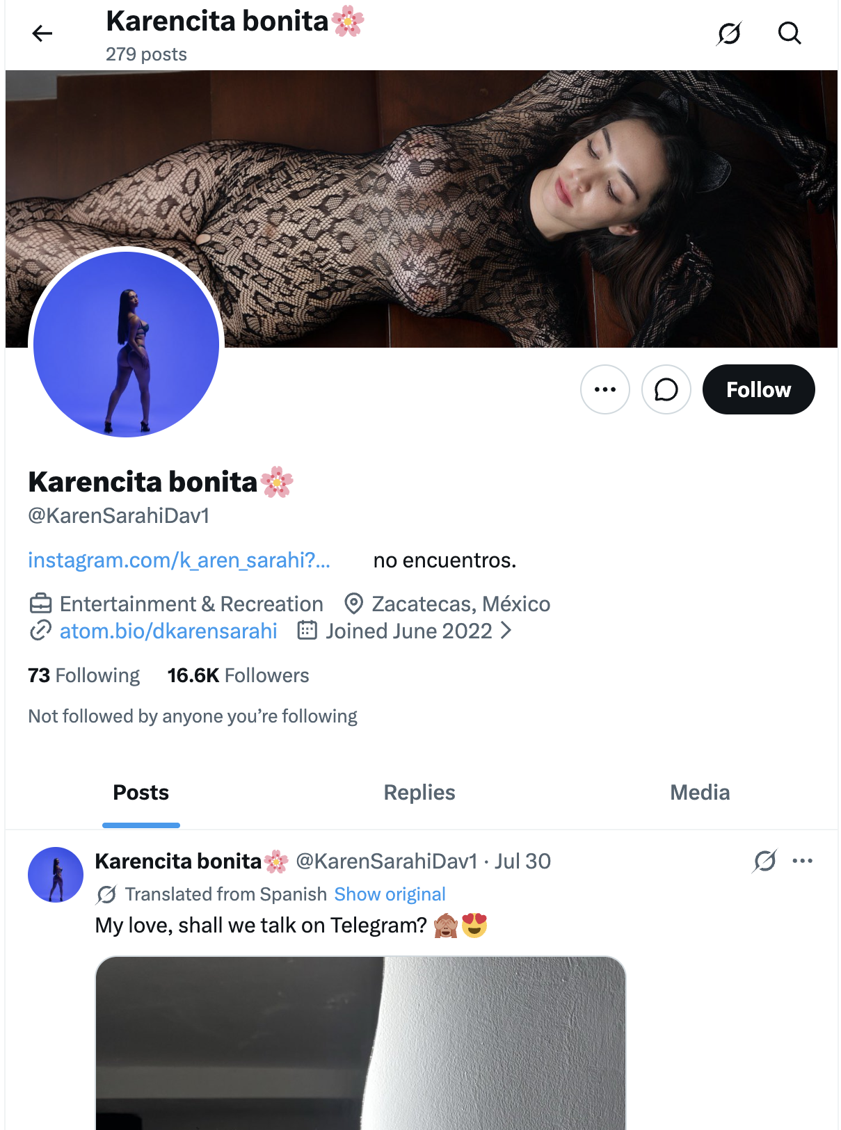 Twitter как условно-бесплатный источник трафика для OnlyFans полный гайд-6